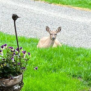 Meet your Posher, Karen